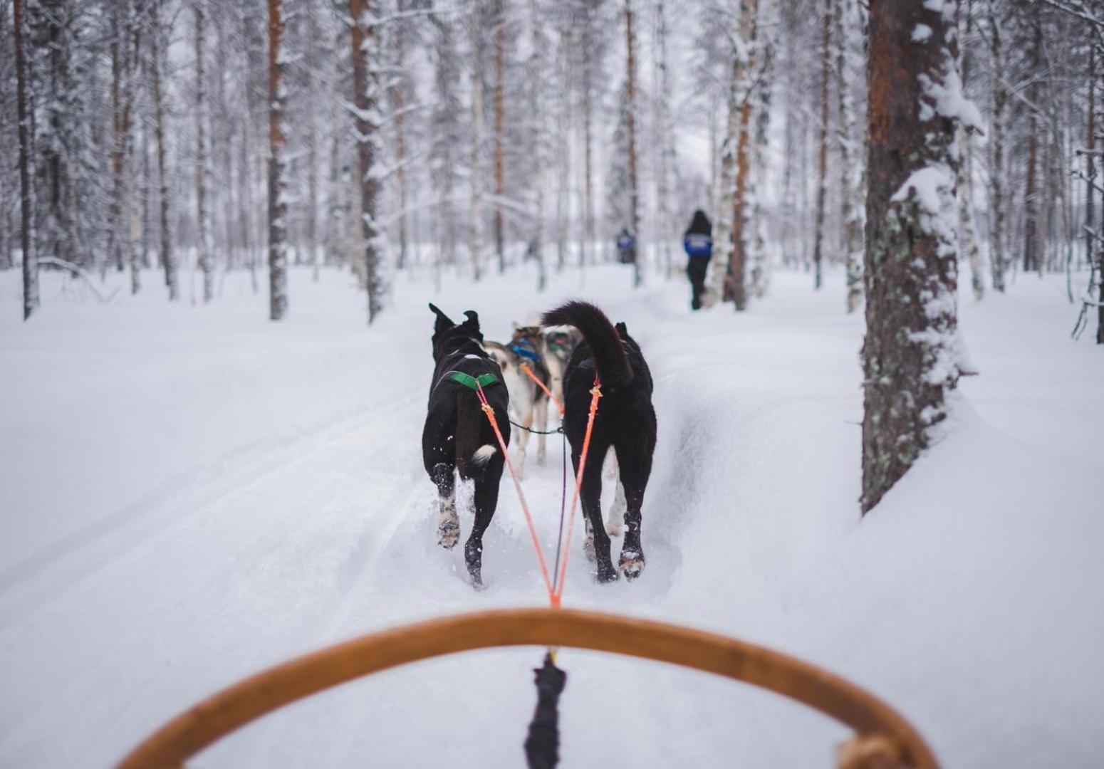 #1012 - Walk To Ski, Newly Remodeled Mountain View Condo With Pool Steamboat Springs Esterno foto